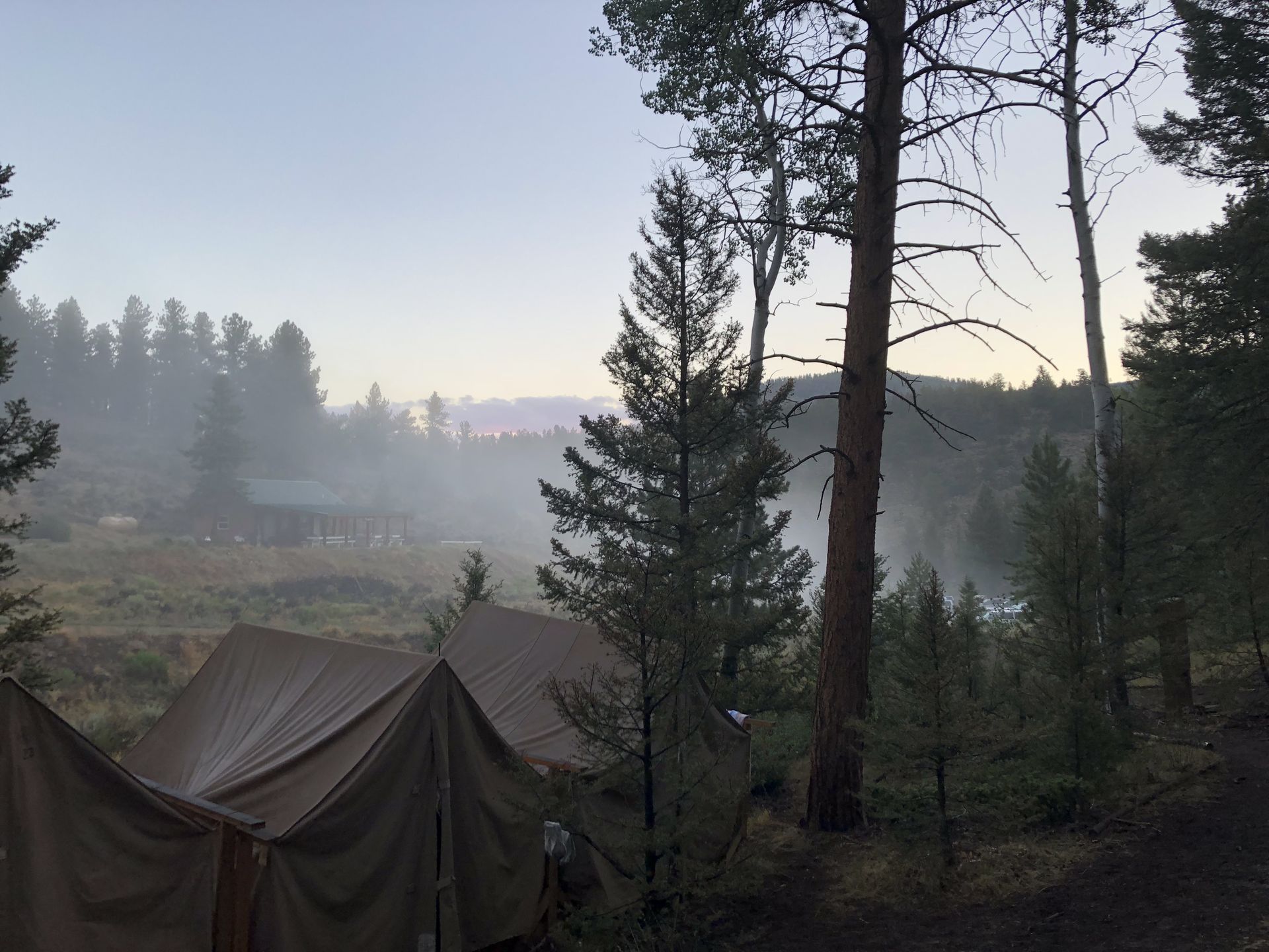 Misty camp